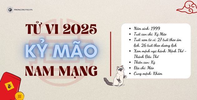 Tra Cứu Tử Vi Tuổi Kỷ Mão Năm 2025 Nam Mạng Theo 12 Tháng