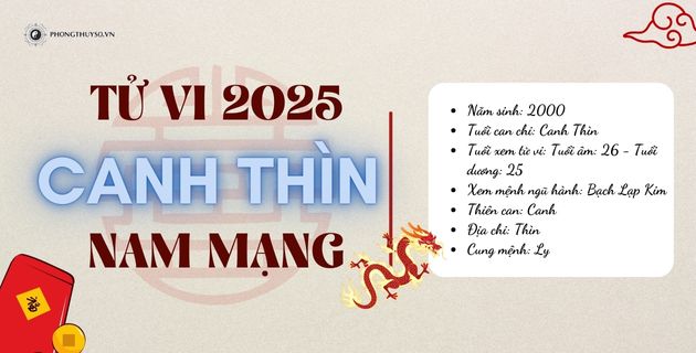 Xem Tử Vi Tuổi Canh Thìn Năm 2025 Nam Mạng: Thái  Âm Chiếu Mệnh