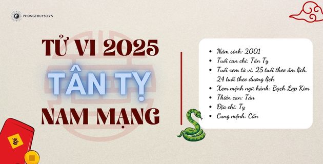 tử vi tuổi tân tỵ nam mạng năm 2025