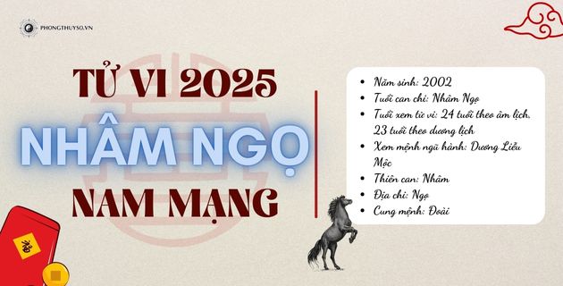 tử vi tuổi nhâm ngọ nam mạng năm 2025