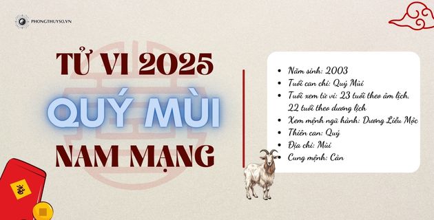 Xem Bói Tử Vi Tuổi Quý Mùi Năm 2025 Nam Mạng Chi Tiết 12 Tháng