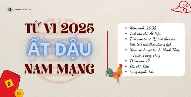 Khám Phá Tử Vi Tuổi Ất Dậu Năm 2025 Nam Mạng - Thi Cử Khó Như Ý