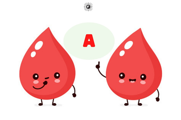 Điều gì trong cuộc đời khiến các nhóm máu A - B - AB - O cảm thấy an toàn nhất?