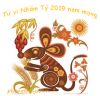 Bình giải tử vi tuổi Nhâm Tý năm 2019 nam mạng sinh năm 1972