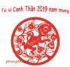 Tử vi tuổi Canh Thân năm 2019 nam mạng | Luận giải chi tiết tuổi 1980