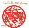 Xem tử vi tuổi Tân Hợi năm 2019 nữ mạng | Bình giải chi tiết tuổi 1971