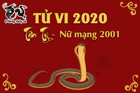 XEM TỬ VI TUỔI TÂN TỴ NĂM 2020 NỮ MẠNG 2001